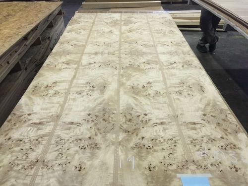 Wood Veneer Mappa Burl 48x98 1 Piece 20Mil Paper Backed &#034;EXOTIC&#034; 1613 19