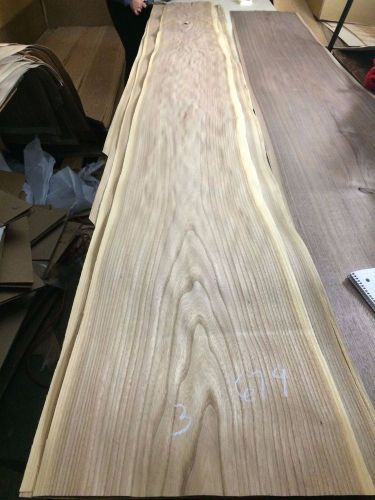 Wood ELM FLAT CUT  115X15,16,18 total 3 pcs RAW VENEER N679.