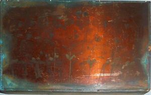 Rare- 1898 -8th NY Infantry- Spanish-American War Officer&#039;s Portrait Print Block