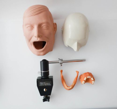 Used dental manikin kilgore bench mount / manikin head / face mask for sale