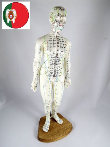 Professional medical and educational acupuncture female body model 48cm artmed for sale