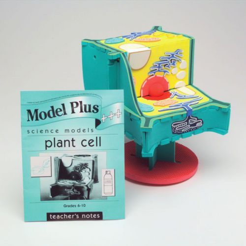 Model Plus Plant Cell Model With Organelles Plant Biology Model Botany NEW