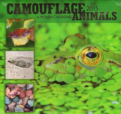 Camouflage Animals - 2015 16 Month  WALL CALENDAR - 12x11 - NEW 2015