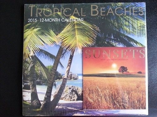 Calendar 2015 Tropical Beaches Wall 12-Month New