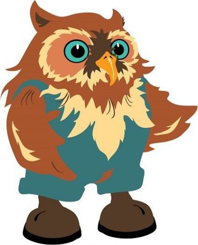 30 Custom Cartoon Owl Personalized Address Labels