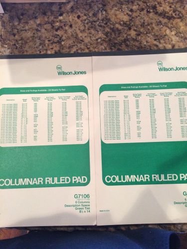(2) 50 SHEETS COLUMNAR RULED PAD 6 COLUMNS  KEEPING TRACK OF BUSINESS EXPENSES