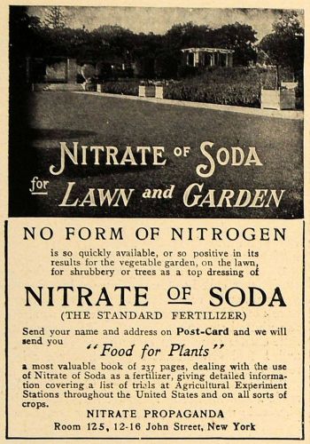 1906 ad nitrate of soda lawn garden fertilizer food - original advertising cl8 for sale