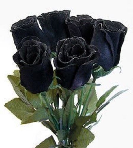 Fresh Rare China Black Rose(10 Seeds) Beautiful Roses..WOW!!!!!!
