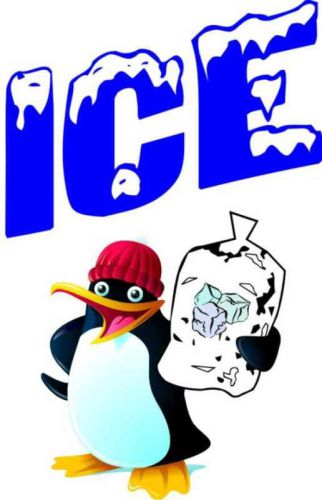 Ice Bag  Decal 24&#034; Cubed Concession Trailer Storefront Vinyl Sign
