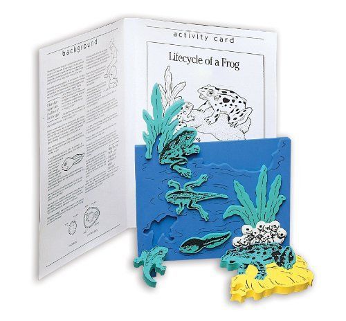 Book plus frog life cycle foam model  10&#034; x 14.5&#034; x 0.75&#034; size for sale