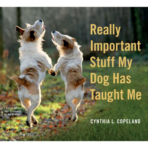 Workman publishing-stuff my dog has taught me for sale