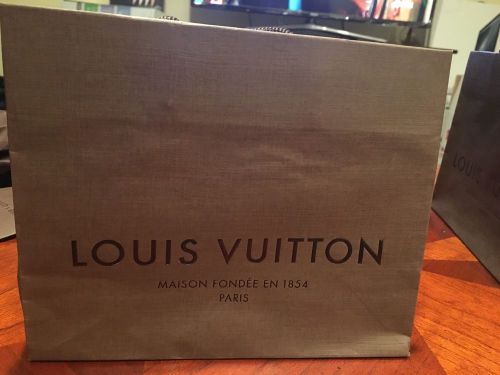 *Louis Vuitton Gift Bag*