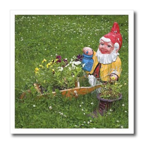 3dRose ht_46297_1 Gnome in Garden - Iron on Heat Transfer 8x8&#034;- H15 101A