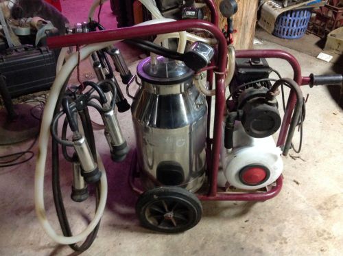 Milking machine 2 cows for sale