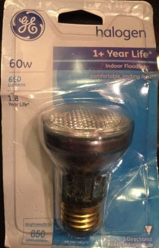 GE Lighting 60-Watt Edison Halogen Floodlight PAR16 Light Bulb