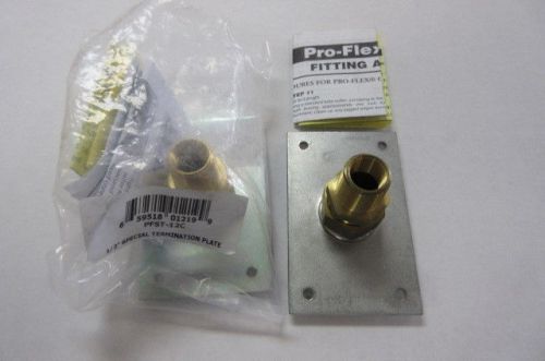 PROFLEX (2 PACK) PFST-12C 1/2&#034;  BRASS SPECIAL TERMINATION PLATE