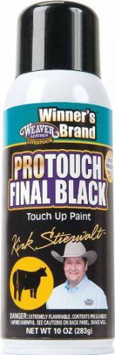 Protouch Final Black Touch Up Paint