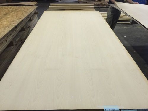 Wood Veneer Beech 48x98 1 Piece 10Mil Paper Backed &#034;EXOTIC&#034; 1613 39