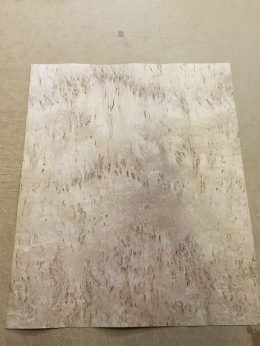 Wood Veneer Karelian Burl 20x24 1Pcs Total Raw Veneer  &#034;EXOTIC&#034; KB3 3-14-16