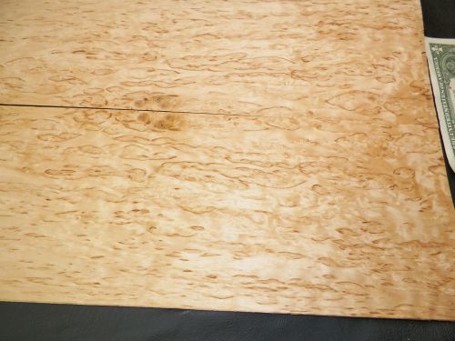 Masur birch raw wood veneer 6.5 x 39 inches, 1/42nd thick   7626-36