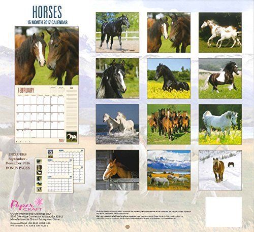 Annual 2017 Monthly Wall Calendar Horses animal yearly hanging 12 month