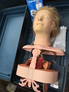 Laerdal Resusci Anatomic Anne,Health Care,Medical Training Manikin,Resuscitation