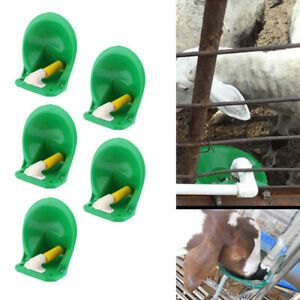 5 Packs Automatic Water Dispenser Drinking Bowl for Sheep Goat Pig Calves
