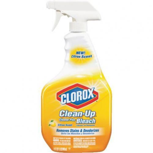 32OZ CLOROX CLEAN-UP 30878