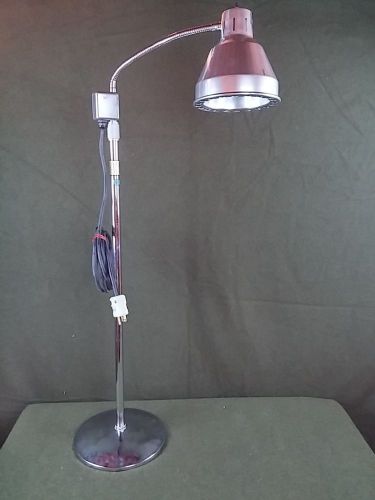 F.W. Lang FLE5100 Physician Floor Exam Light Used