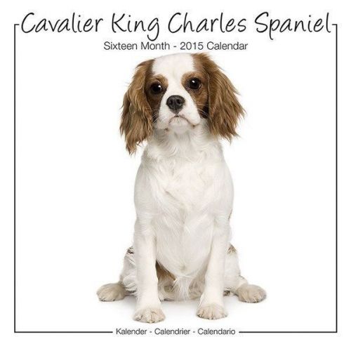 New 2015 cavalier king charles wall calendar by avonside- free priority shipping for sale