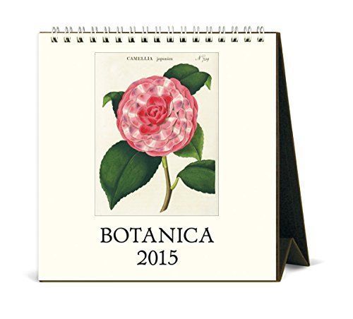 Cavallini Papers 2015 Botanica Desk Calendar