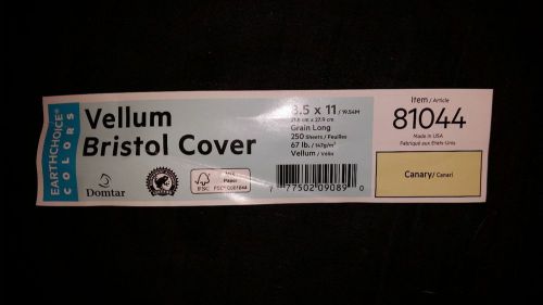 1000 sheets Yellow 67# Vellum Bristol Cover (#81044)