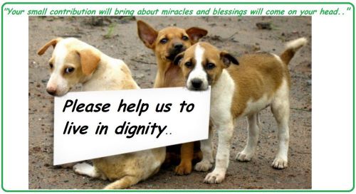 Life Saving Partner- Donate Only 0.99$ Contribution Donation To Save Pets!