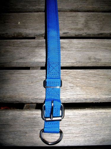 Calf collar dairy calf collar 1&#034; x 32&#034; blue for sale