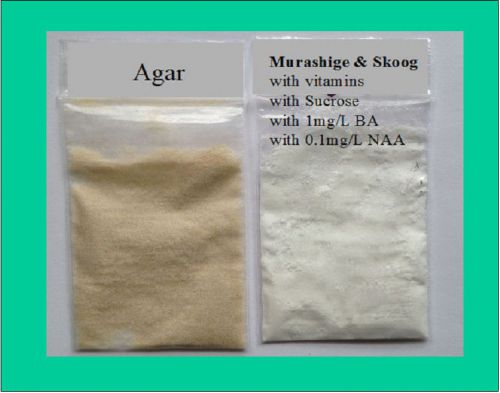 MURASHIGE &amp; SKOOG (MS) Medium Powder + Agar, Plant Cloning * Tissue Culture
