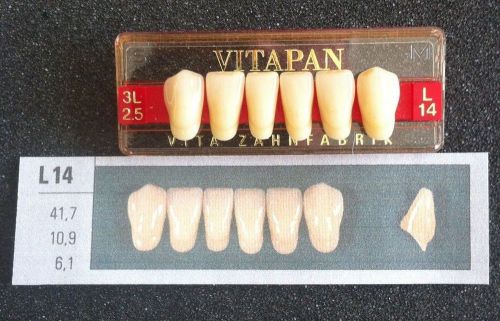 Vitapan Denture Teeth  L14    3L2.5