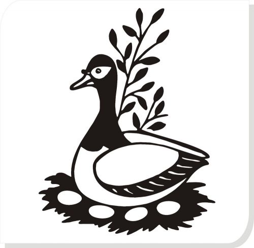 duck sitting on eggs car vinyl sticker decals truck window bumper decor #65