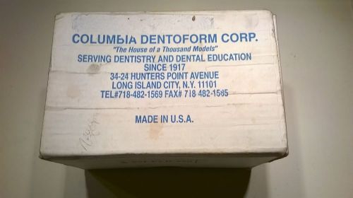 Columbia Dentoform Corp. Dental Model