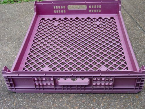LEWIS SYSTEMS Plastic Bread Tray, Storage, Material Handling or Prepper Trays