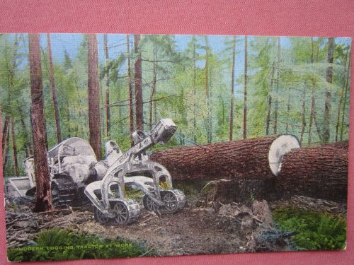 HYSTER, LOGGING CAT with WINCH &amp; ARCH for BIG TIMBERS  vintage coloured postcard