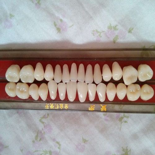 Porcelain Teeth Alloy-Pin Tooth Dental Materials Colors-Chart Shade-Guide 4H9