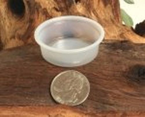 1/2 oz Gecko Food/Diet Cups 100 count