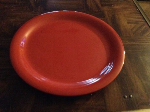 Carlisle  9 inch dinner plates