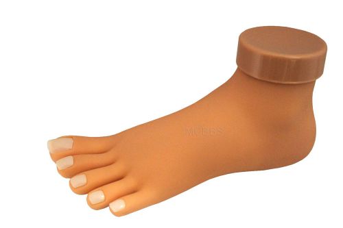 DIANE PRACTICE/DISPLAY FOOT MANNEQUIN WITH NAILS