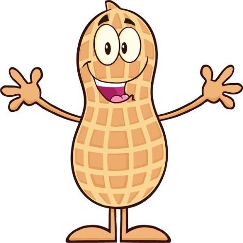 30 Custom Happy Peanut Personalized Address Labels