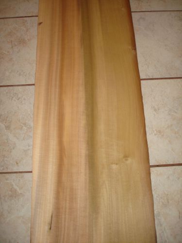 ONE PIECE POPLAR WOOD VENEER   14 &#039;&#039; X 36&#039;&#039;   1/20TH  OR  .05  QAURTER SAWN