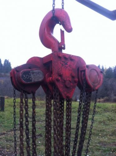 30 ton ratcliff chain hoist for sale