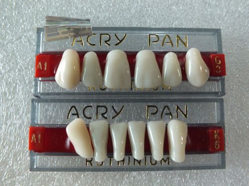 Dental Denture Teeth Set Acrypan Big Size