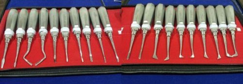 20 PC LUXATING APICAL DENTAL SURGERY ROOT EXTRACTION EXTRACTING ELEVATORS