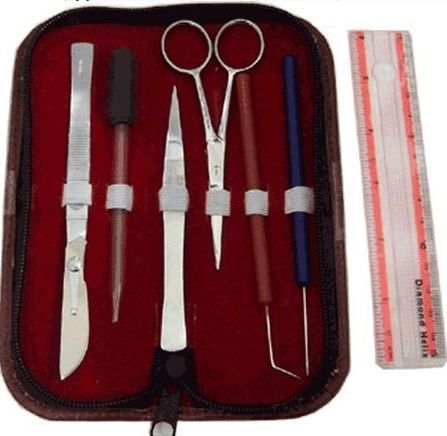 ZIPPY Dissecting Kit for Student Dissection Use with quality Zippered Case w Sca